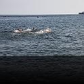 Comen Cup 2009 031